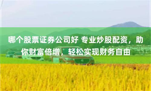 哪个股票证券公司好 专业炒股配资，助你财富倍增，轻松实现财务自由